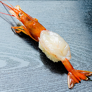 丸生赤海老（頭付き）